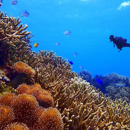 Lägenhetshotell Bellavista A Santa Giulia, Proche De La Et Vue