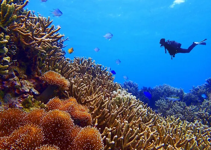 Appart hôtel Bellavista à Santa Giulia, Proche De La Et Vue
